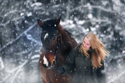 Smarta vinterprylar för häst och ryttare